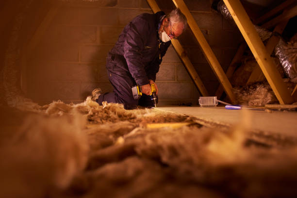 Types of Insulation We Offer in Gilroy, CA